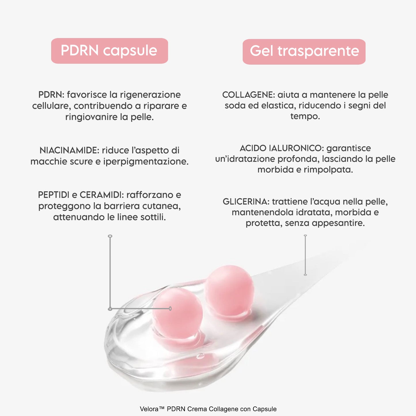PDRN Crema Collagene con Capsule